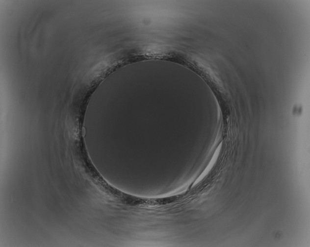 X0000092250689200709281144