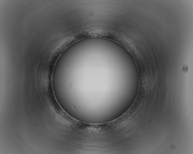 X0000092250690200709281144