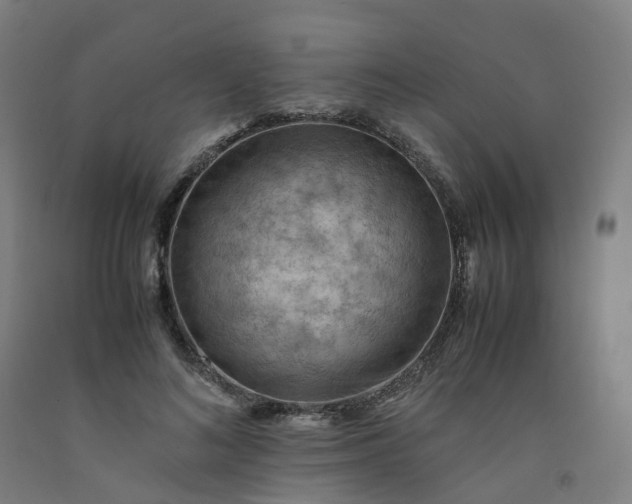 X0000092250692200709281144