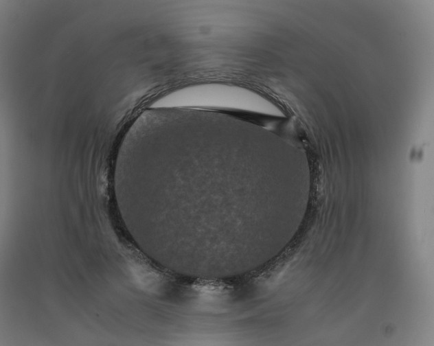 X0000092250693200709281144