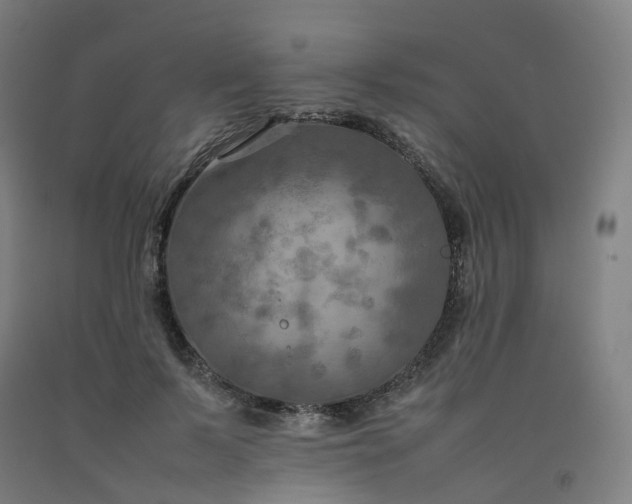 X0000092250695200709281144