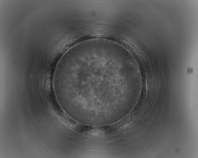 X0000092250696200709281144