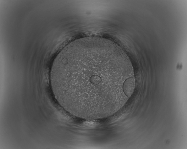 X0000092250699200709281144