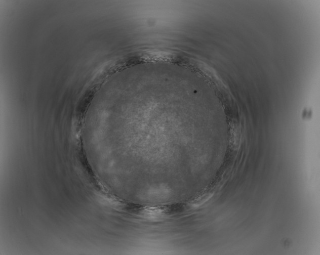 X0000092250701200709281144