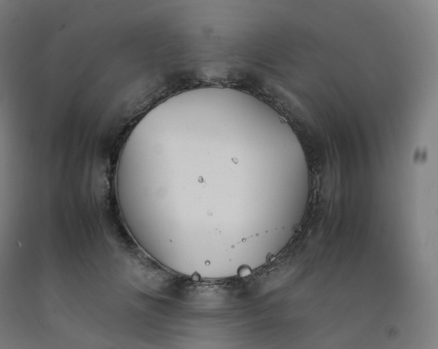 X0000092250702200709281144