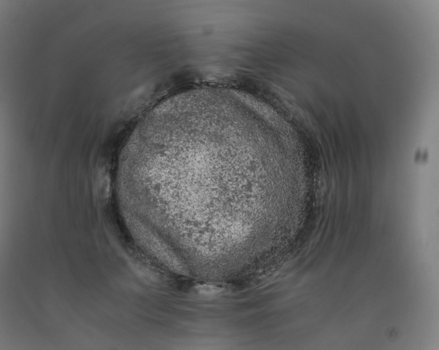 X0000092250703200709281144