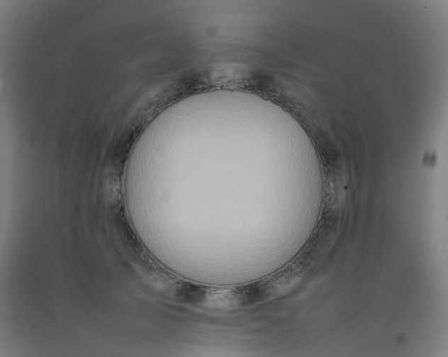 X0000092250705200709281144