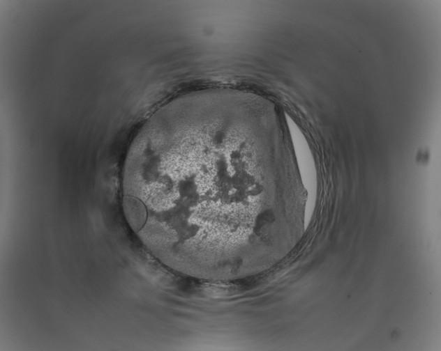 X0000092250707200709281144