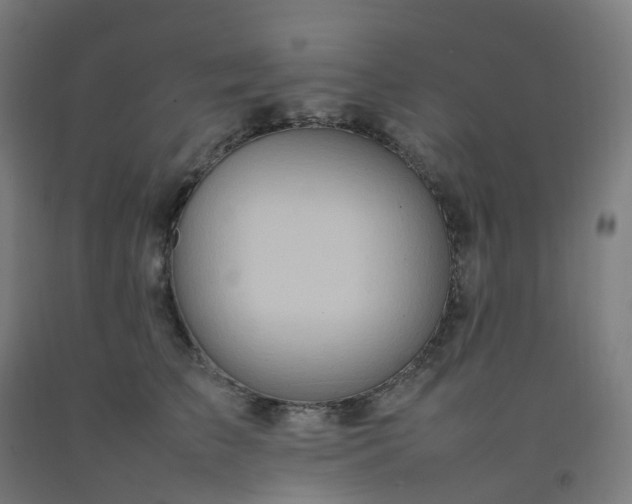 X0000092250709200709281144