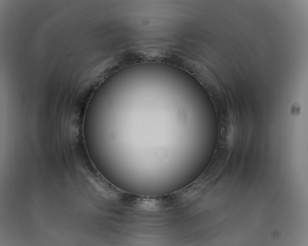 X0000092250710200709281144