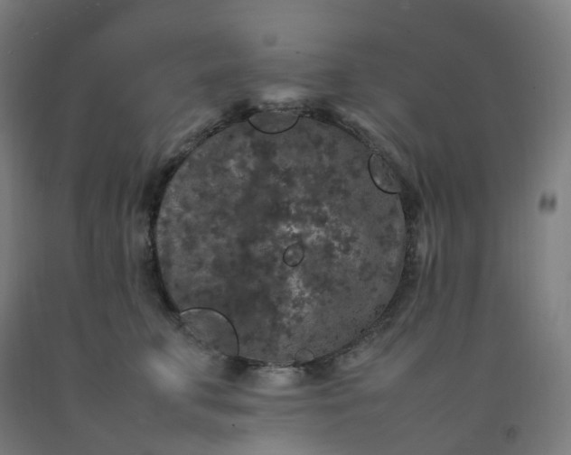 X0000092250711200709281144