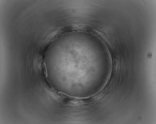 X0000092250712200709281144