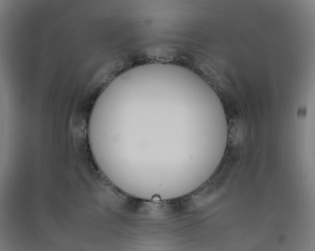 X0000092250713200709281144