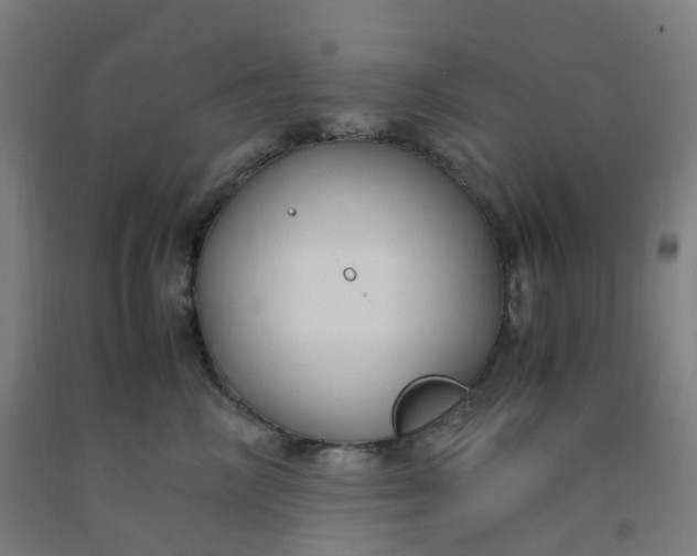 X0000092250714200709281144