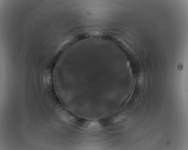 X0000092250715200709281144