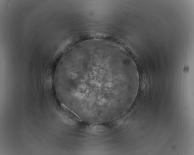 X0000092250716200709281144