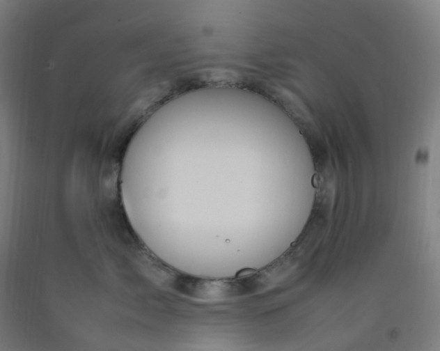 X0000092250717200709281144