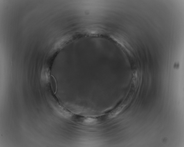 X0000092250718200709281144