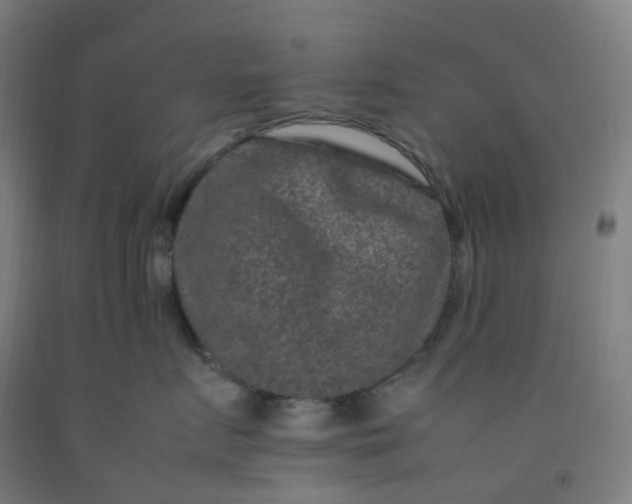 X0000092250719200709281144