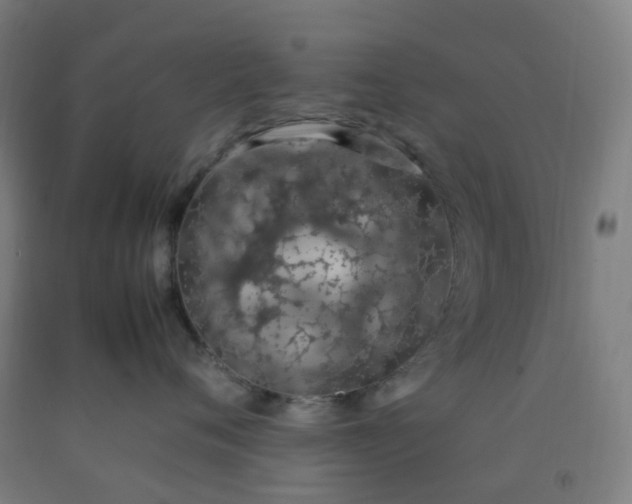 X0000092250720200709281144