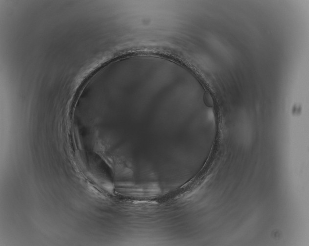 X0000092250721200709281143