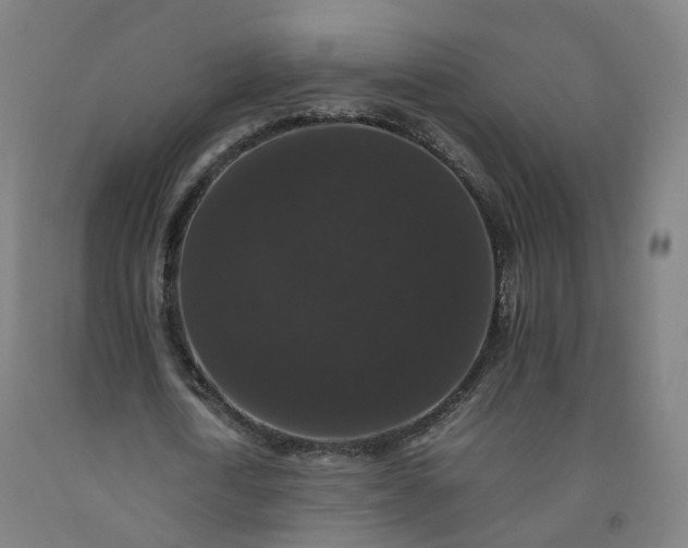 X0000092250722200709281143