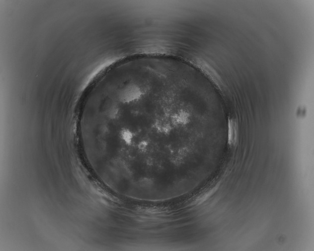 X0000092250723200709281143