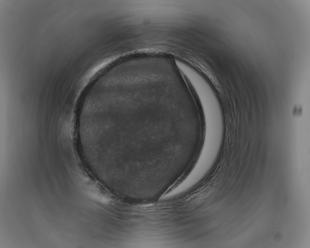 X0000092250724200709281143