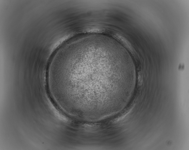 X0000092250725200709281143