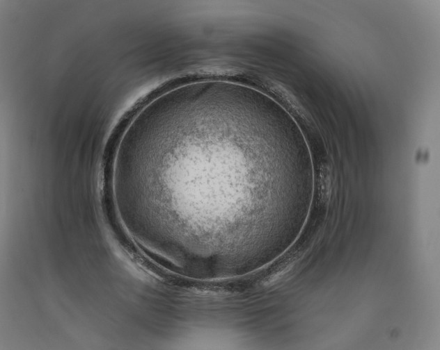 X0000092250726200709281143