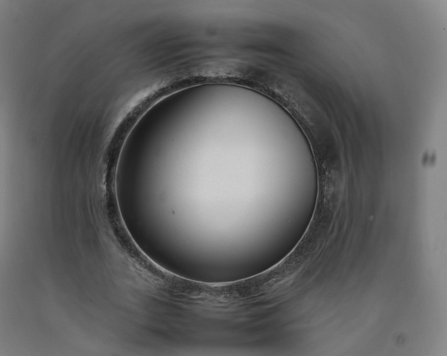 X0000092250727200709281143