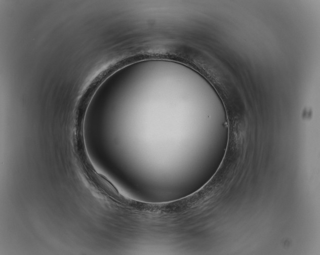 X0000092250728200709281143