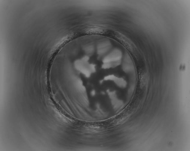 X0000092250729200709281143