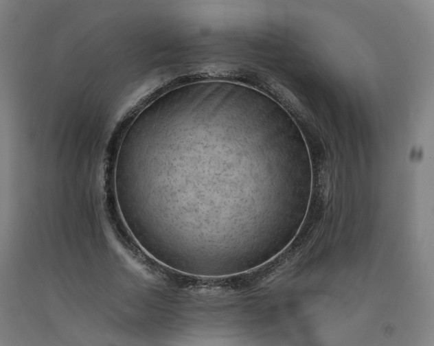 X0000092250730200709281143