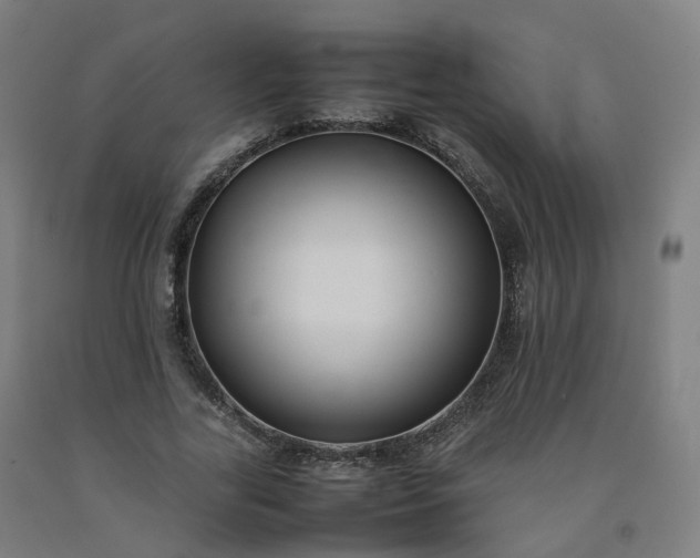 X0000092250731200709281143