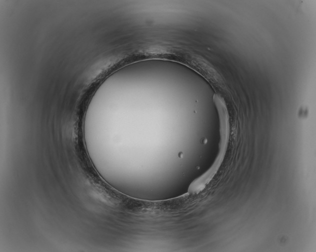 X0000092250732200709281143