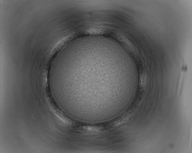 X0000092250733200709281143