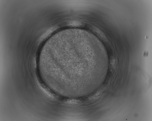 X0000092250734200709281143