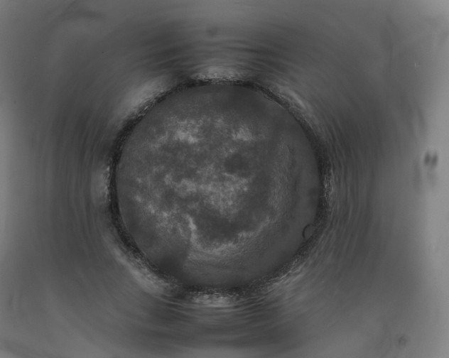 X0000092250735200709281143