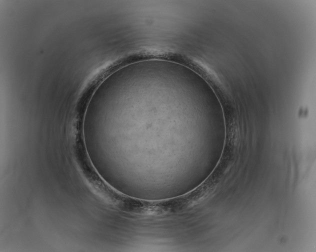 X0000092250736200709281143