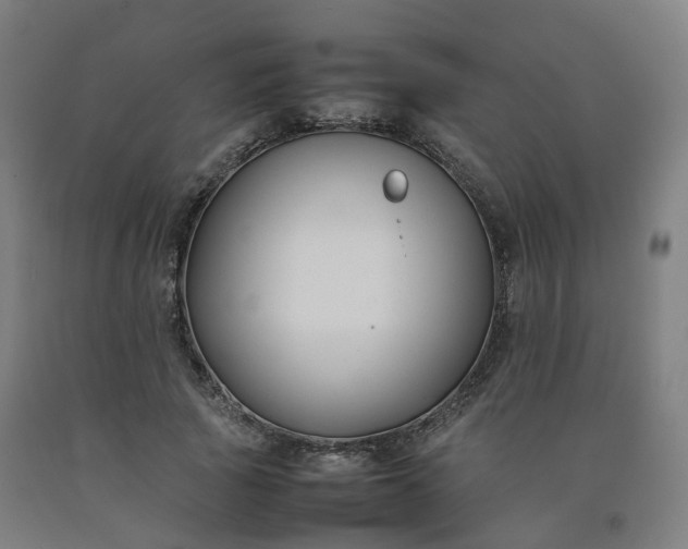 X0000092250737200709281143