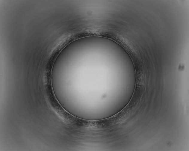 X0000092250738200709281143