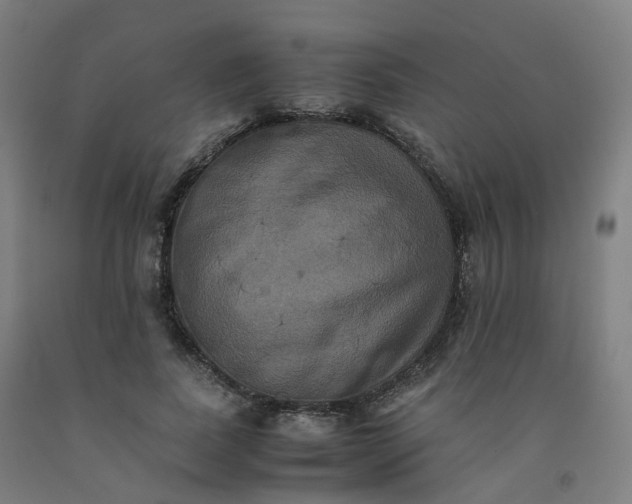 X0000092250739200709281143