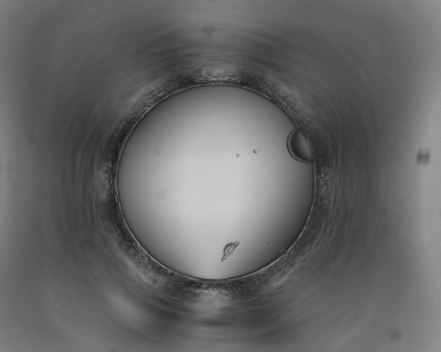 X0000092250741200709281143