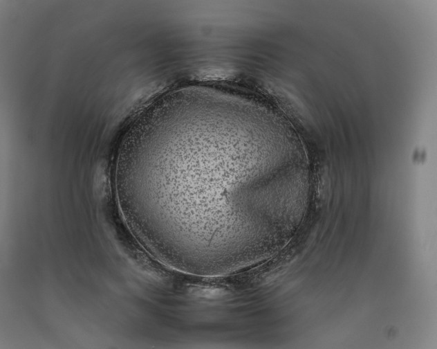 X0000092250743200709281143