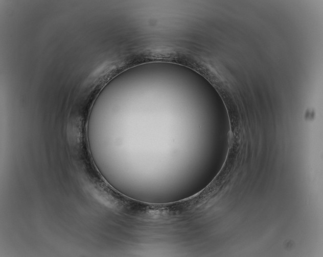 X0000092250744200709281143