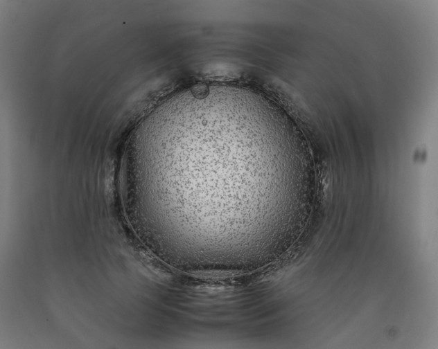 X0000092250745200709281143