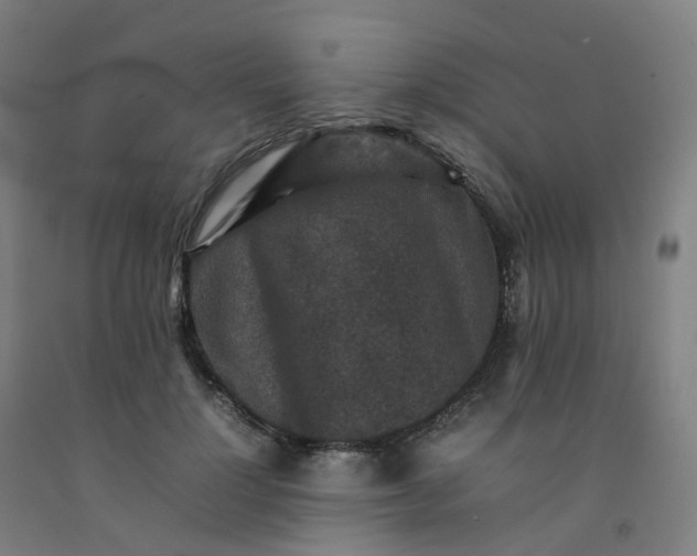 X0000092250748200709281143