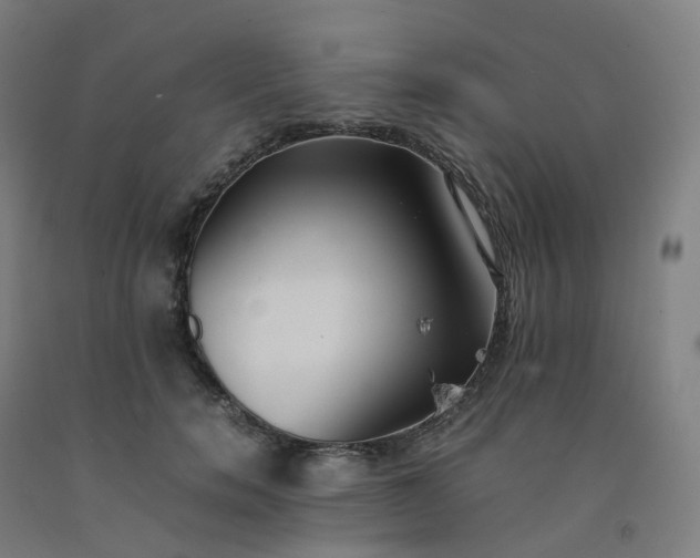 X0000092250750200709281143