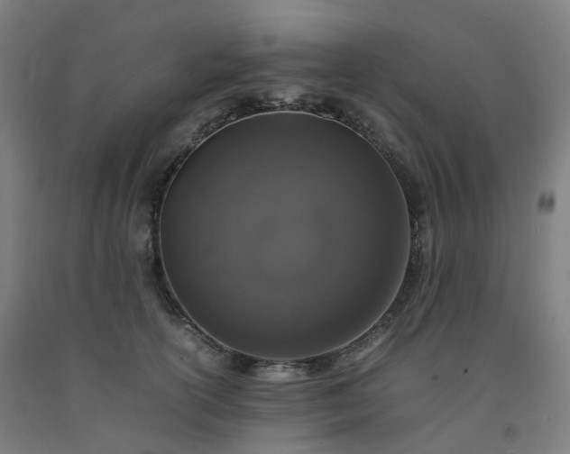 X0000092250754200709281143